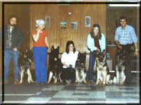 DiNova_German_Shepherds_training